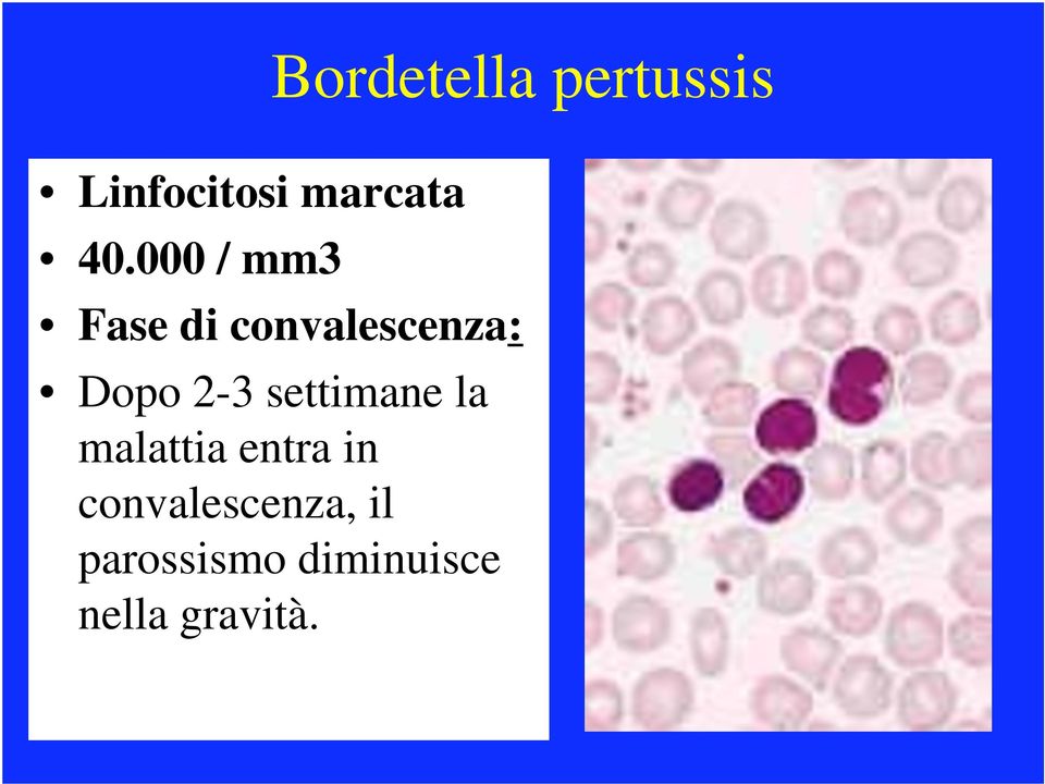 2-3 settimane la malattia entra in