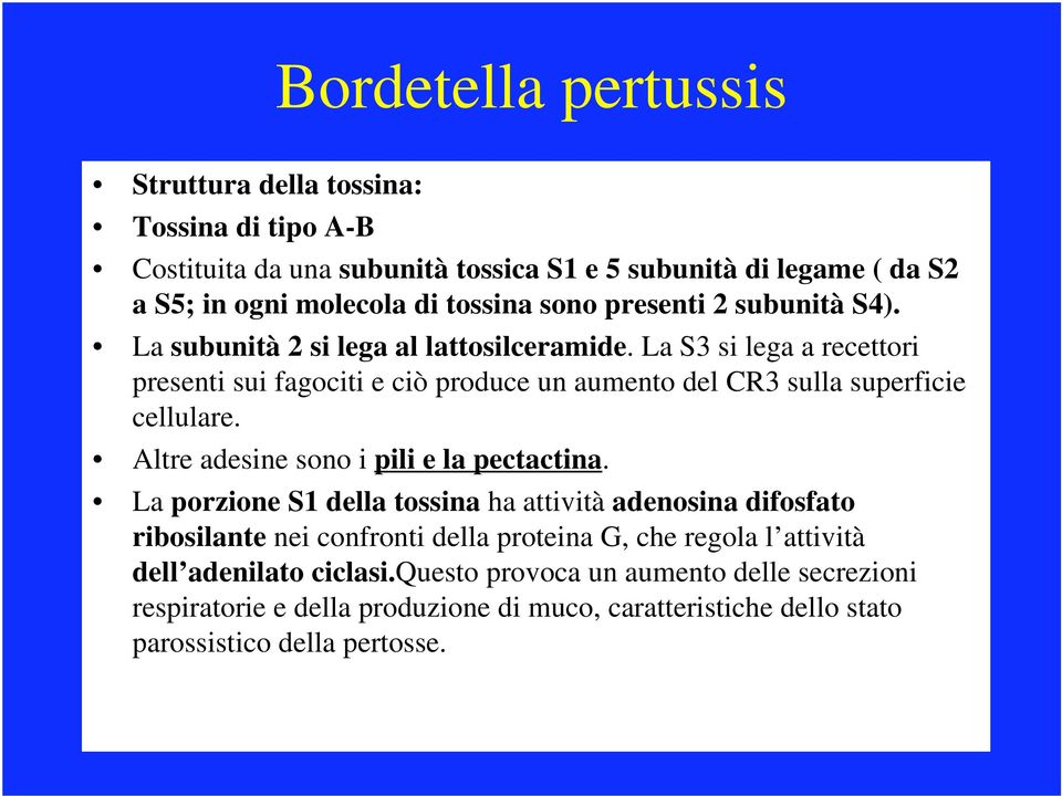 Altre adesine sono i pili e la pectactina.