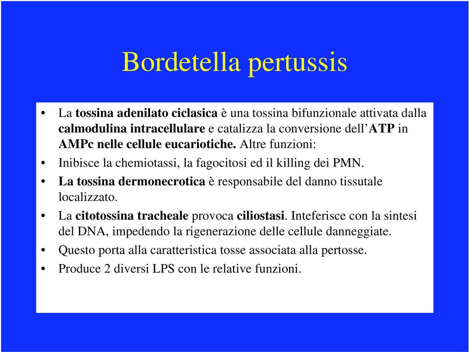 La tossina dermonecrotica è responsabile del danno tissutale localizzato. La citotossina tracheale provoca ciliostasi.