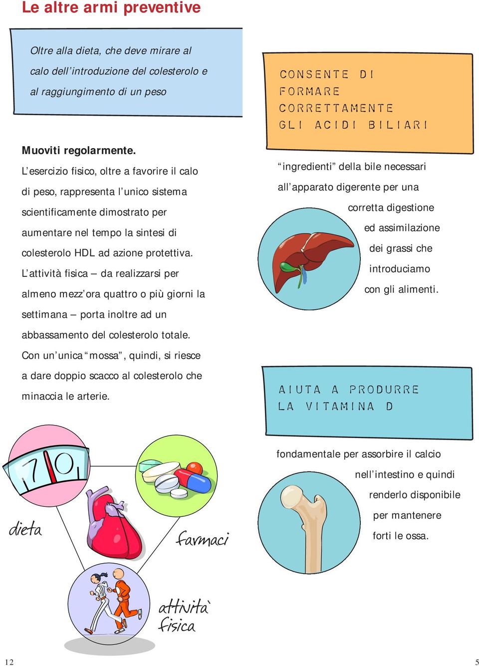 L attività fisica da realizzarsi per almeno mezz ora quattro o più giorni la settimana porta inoltre ad un abbassamento del colesterolo totale.