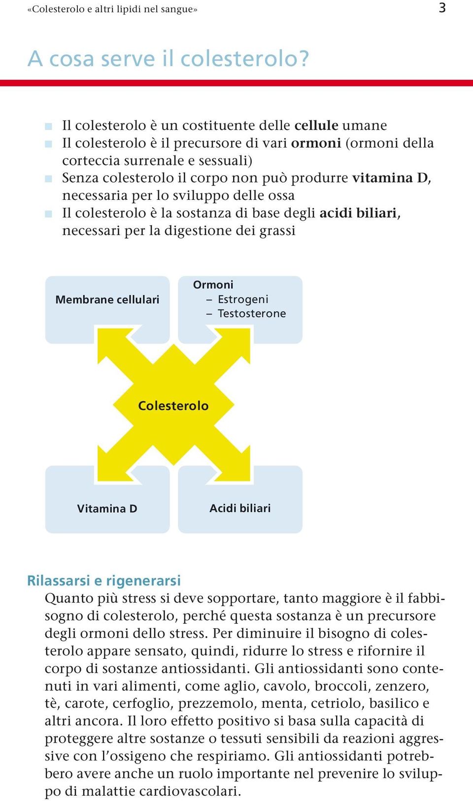 necessaria per lo sviluppo delle ossa Il colesterolo è la sostanza di base degli acidi biliari, necessari per la digestione dei grassi Membrane cellulari Ormoni Estrogeni Testosterone Colesterolo