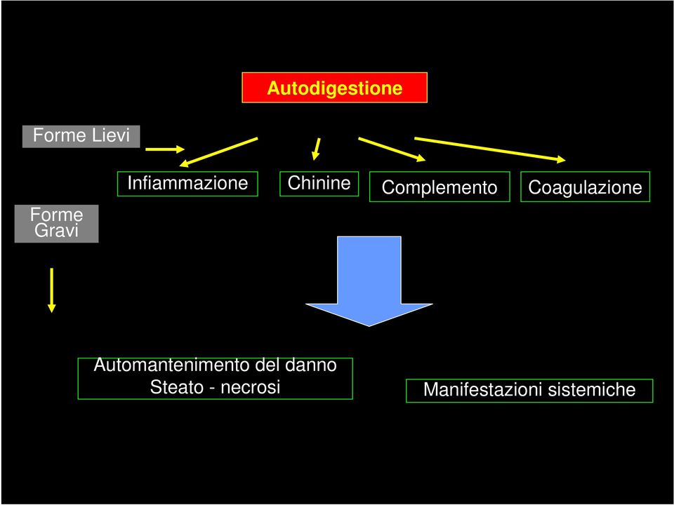 Coagulazione Automantenimento del