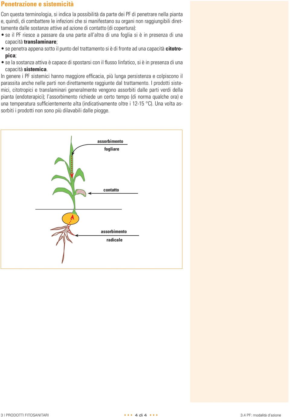 se penetra appena sotto il punto del trattamento si è di fronte ad una capacità citotropica; se la sostanza attiva è capace di spostarsi con il flusso linfatico, si è in presenza di una capacità