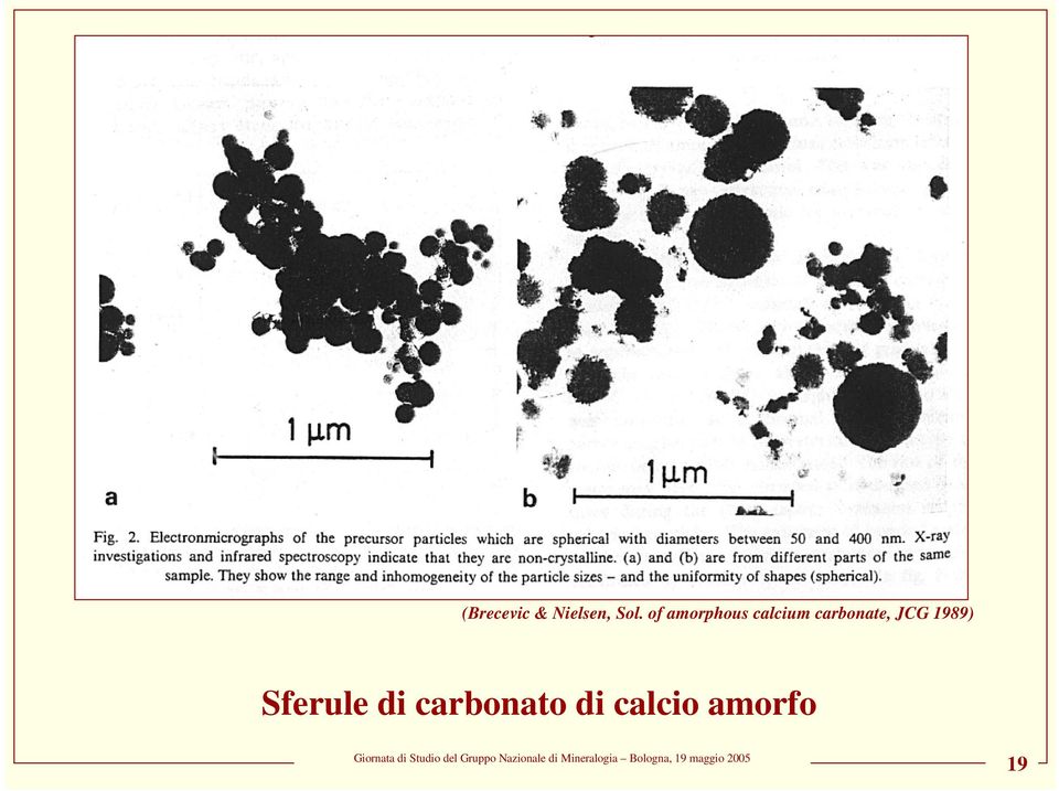 carbonate, JCG 1989)