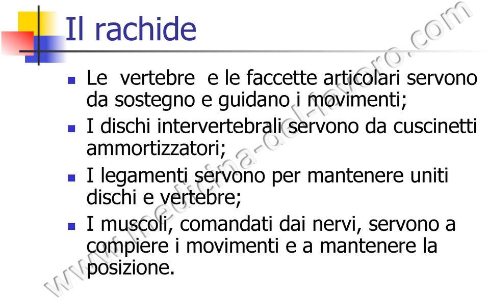 ammortizzatori; I legamenti servono per mantenere uniti dischi e vertebre;