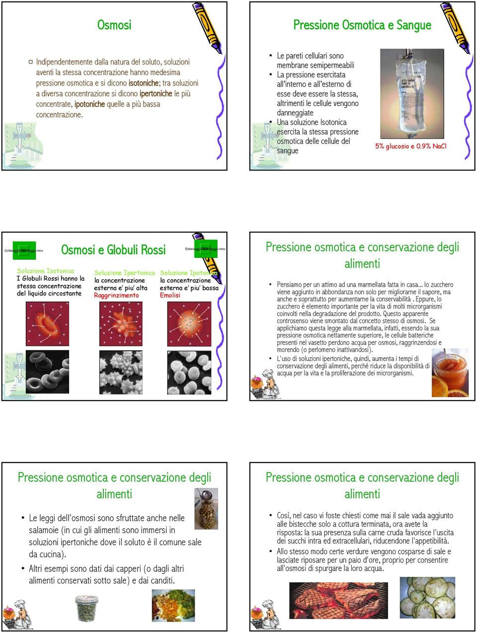 Le pareti cellulari sono membrane semipermeabili La pressione esercitata all interno e all esterno di esse deve essere la stessa, altrimenti le cellule vengono danneggiate Una soluzione Isotonica