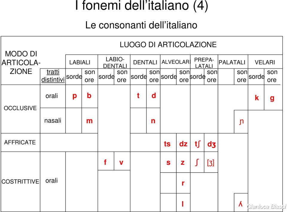 ALVEOLARI PREPA- LATALI PALATALI VELARI son son son son sorde ore sorde ore sorde ore ore sorde