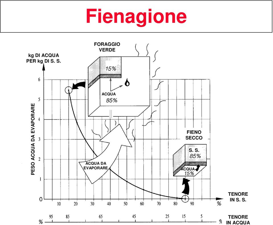 EVAPORARE ACQUA DA EVAPORARE FIENO