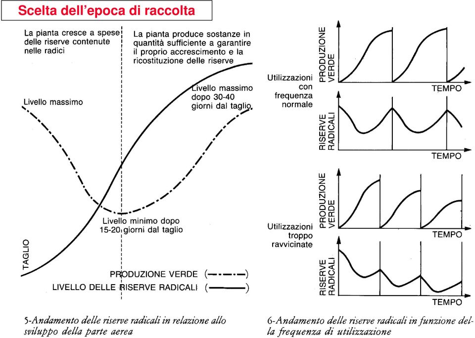 epoca di