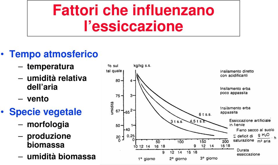 relativa dell aria vento Specie vegetale