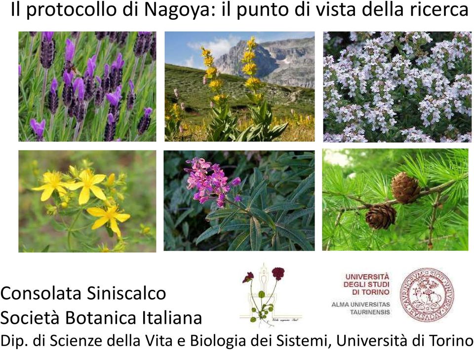 Botanica Italiana Dip.