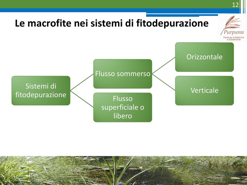 Sistemi di fitodepurazione Flusso