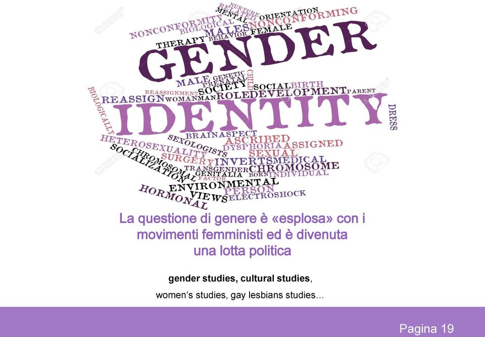 lotta politica gender studies, cultural