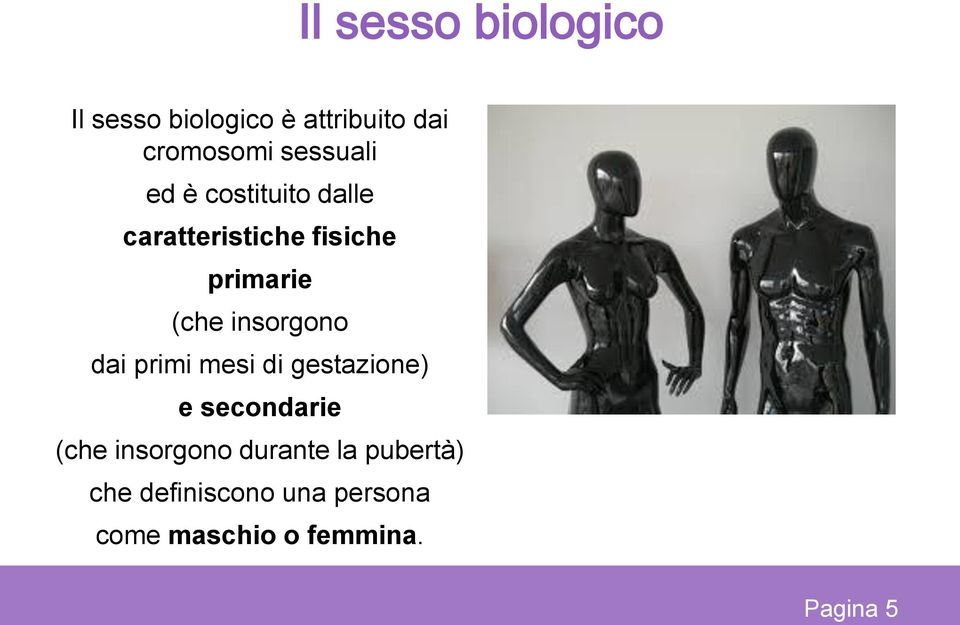 insorgono dai primi mesi di gestazione) e secondarie (che insorgono