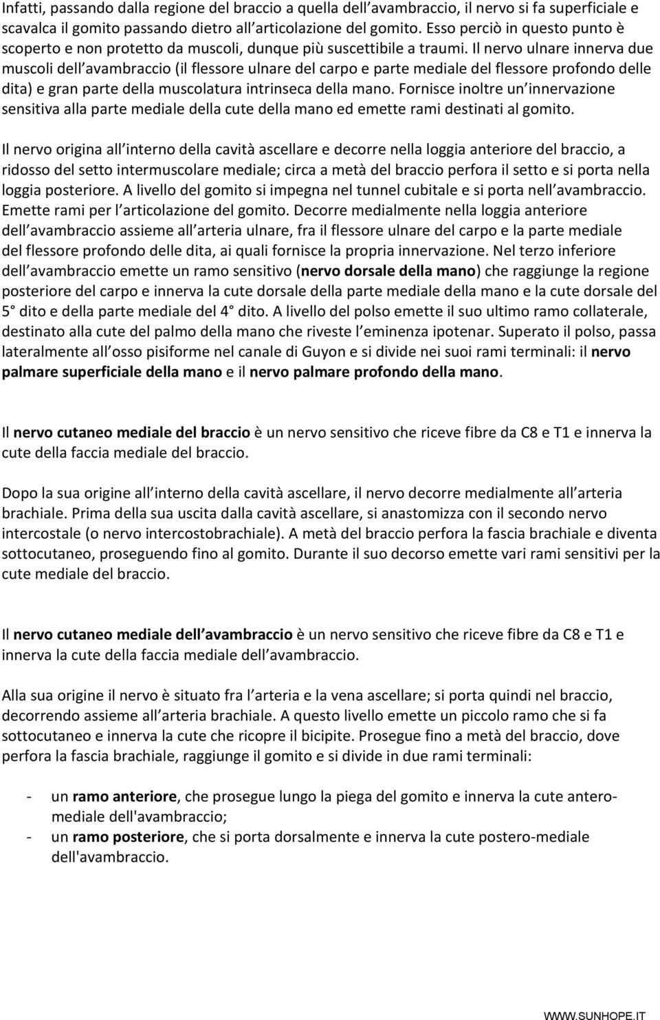 Il nervo ulnare innerva due muscoli dell avambraccio (il flessore ulnare del carpo e parte mediale del flessore profondo delle dita) e gran parte della muscolatura intrinseca della mano.