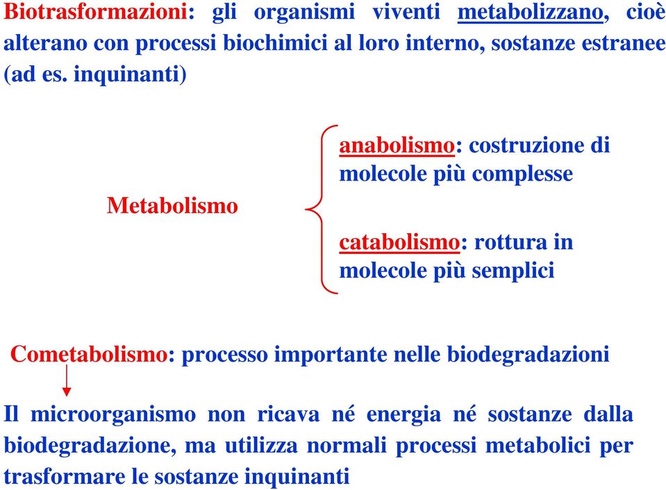 inquinanti) Metabolismo anabolismo: costruzione di molecole più complesse catabolismo: rottura in molecole più