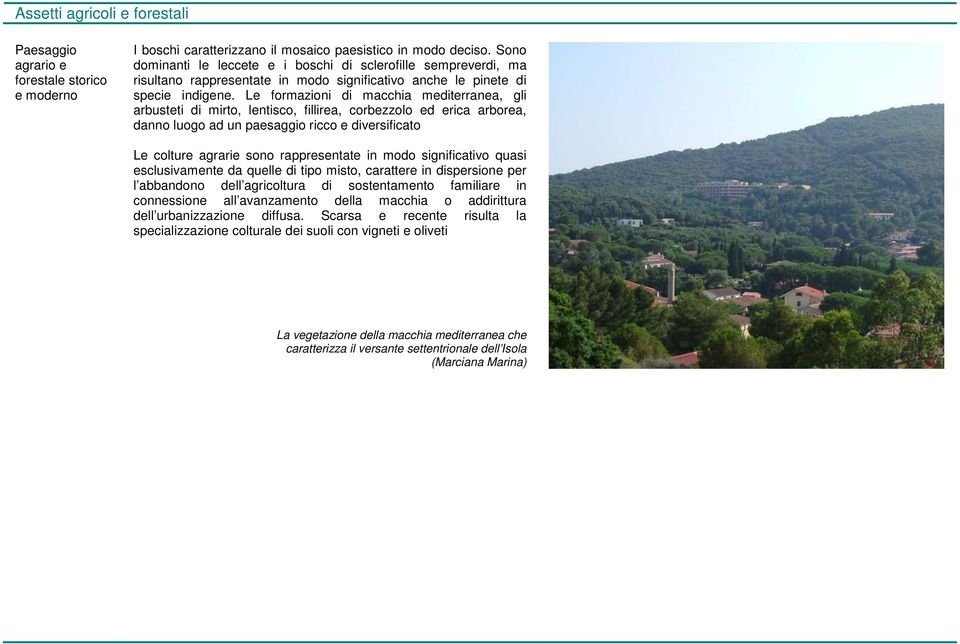 Le formazioni di macchia mediterranea, gli arbusteti di mirto, lentisco, fillirea, corbezzolo ed erica arborea, danno luogo ad un paesaggio ricco e diversificato Le colture agrarie sono rappresentate