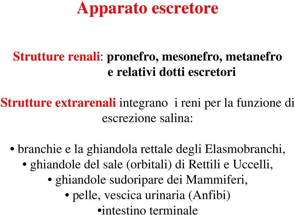 branchie e la ghiandola rettale degli Elasmobranchi, ghiandole del sale (orbitali) di