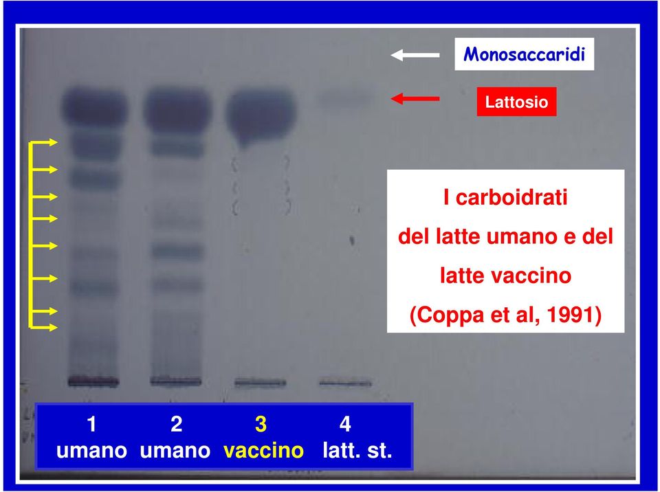 del latte vaccino (Coppa et al,