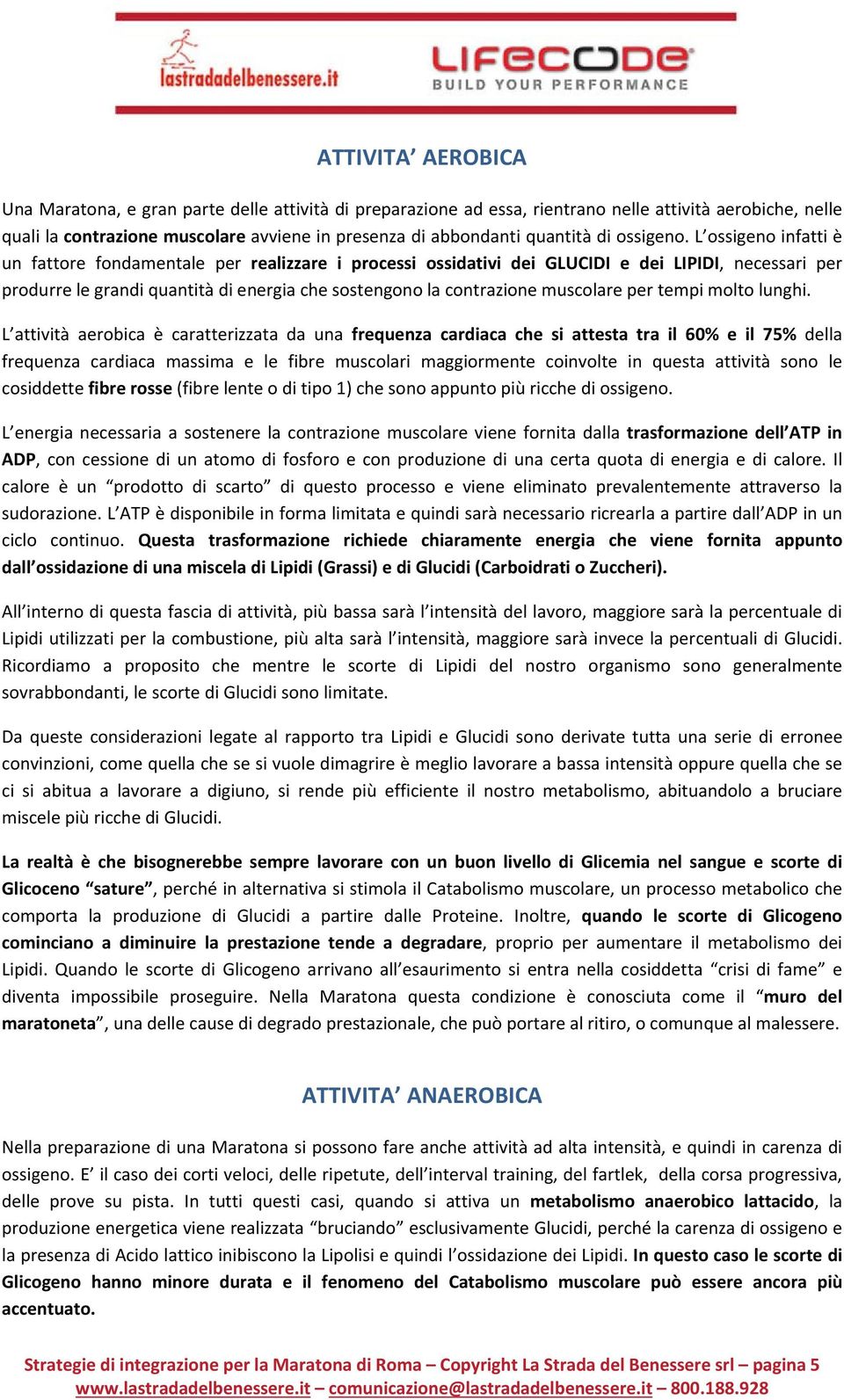 L ossigeno infatti è un fattore fondamentale per realizzare i processi ossidativi dei GLUCIDI e dei LIPIDI, necessari per produrre le grandi quantità di energia che sostengono la contrazione