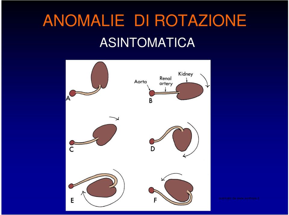 ROTAZIONE