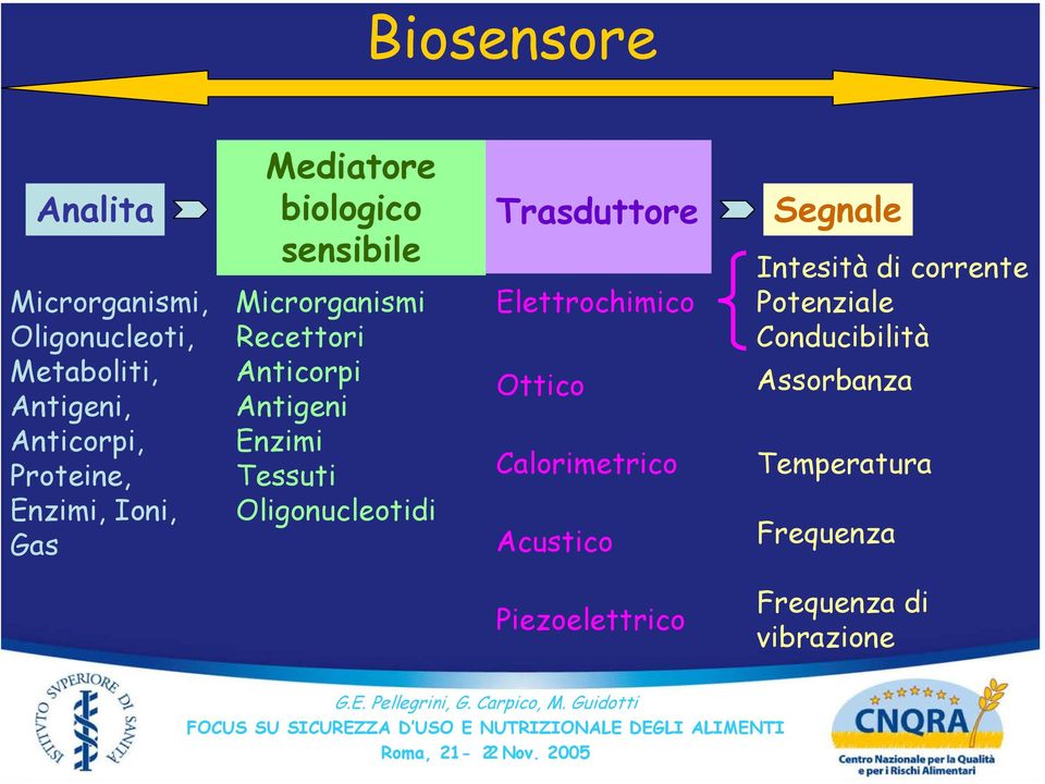 Tessuti Oligonucleotidi Trasduttore Elettrochimico Ottico Calorimetrico Acustico Segnale Intesità