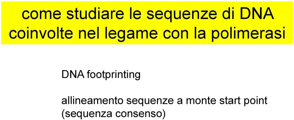 polimerasi DNA footprinting