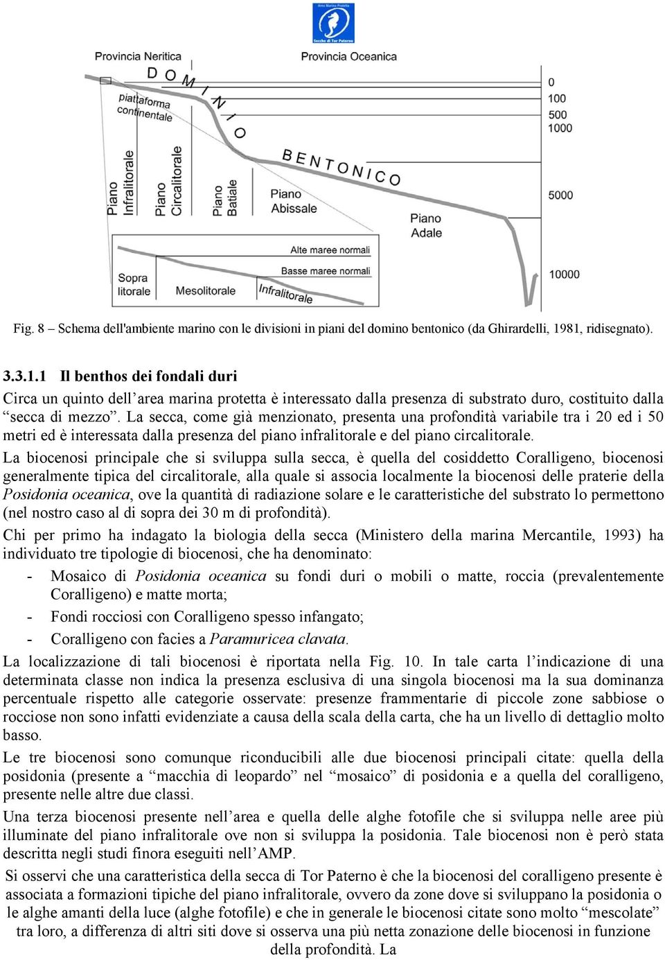 La secca, come già menzionato, presenta una profondità variabile tra i 20 ed i 50 metri ed è interessata dalla presenza del piano infralitorale e del piano circalitorale.