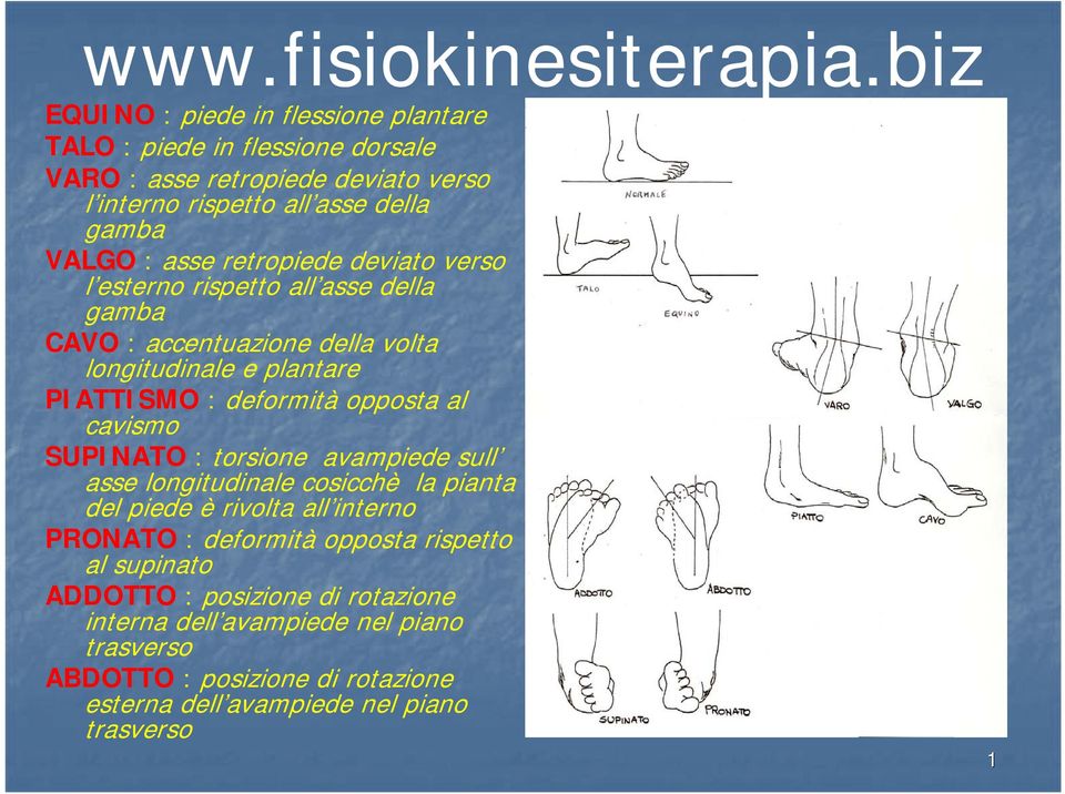 retropiede deviato verso l esterno rispetto all asse della gamba CAVO : accentuazione della volta longitudinale e plantare PIATTISMO : deformità opposta al cavismo