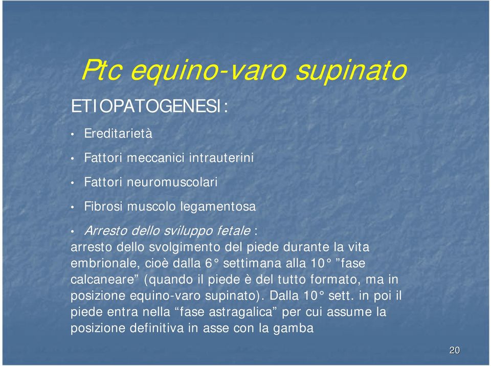 cioè dalla 6 settimana alla 10 fase calcaneare (quando il piede è del tutto formato, ma in posizione equino-varo