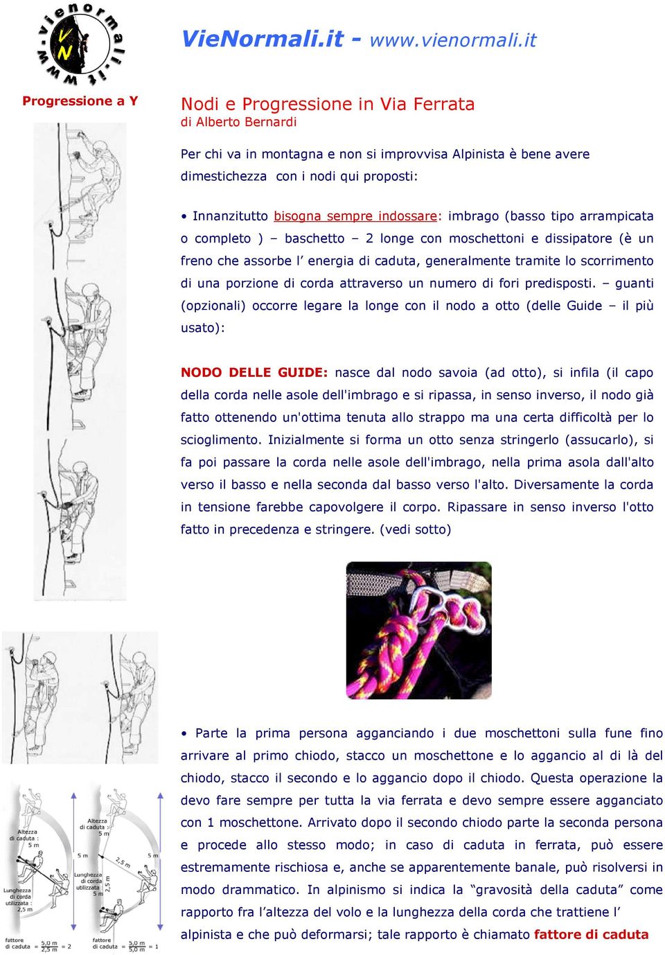 bisogna sempre indossare: imbrago (basso tipo arrampicata o completo ) baschetto 2 longe con moschettoni e dissipatore (è un freno che assorbe l energia di caduta, generalmente tramite lo scorrimento