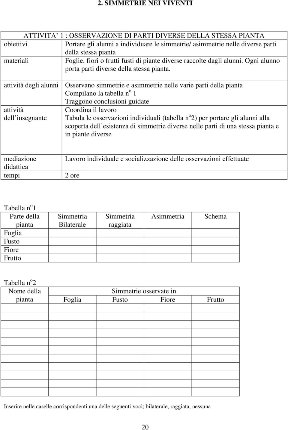 degli alunni Osservano simmetrie e asimmetrie nelle varie parti della pianta Compilano la tabella n o 1 Traggono conclusioni guidate Tabula le osservazioni individuali (tabella n o 2) per portare gli