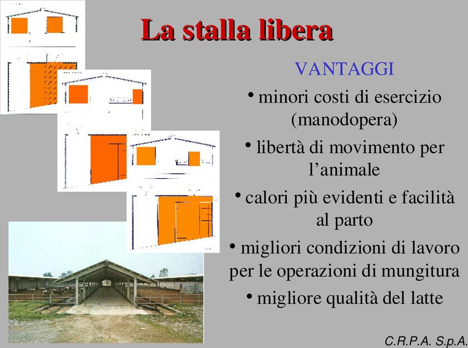 più evidenti e facilità al parto migliori condizioni di