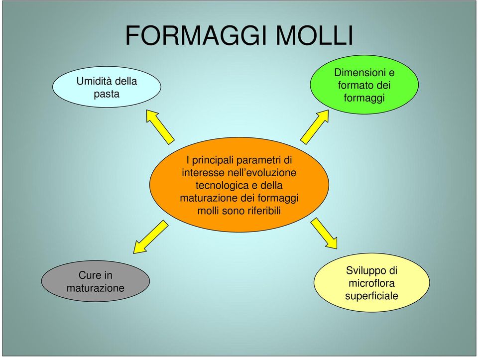 tecnologica e della maturazione dei formaggi molli sono