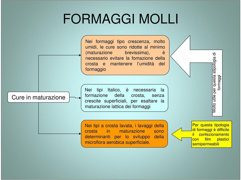 esaltare la maturazione lattica dei formaggi Molto utile per questa atipologia di formaggi Nei tipi a crosta lavata, i lavaggi della crosta in maturazione