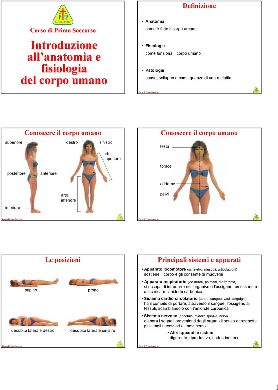 decubito laterale Apparato locomotore (scheletro, muscoli, articolazioni) sostiene il corpo e gli consente di muoversi Apparato respiratorio (vie aeree, polmoni, diaframma) si occupa di introdurre