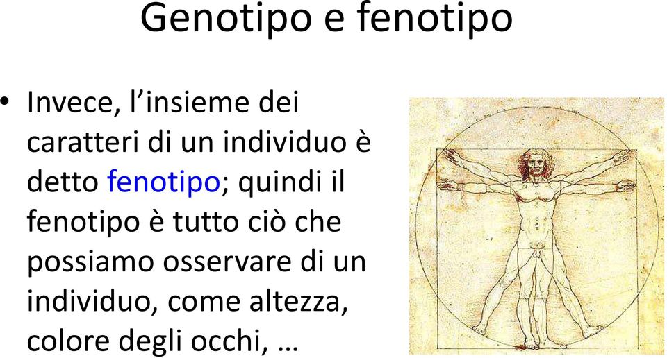 quindi il fenotipo è tutto ciò che possiamo