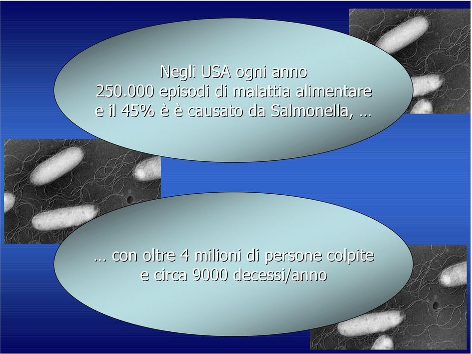 45% è è causato da Salmonella, con