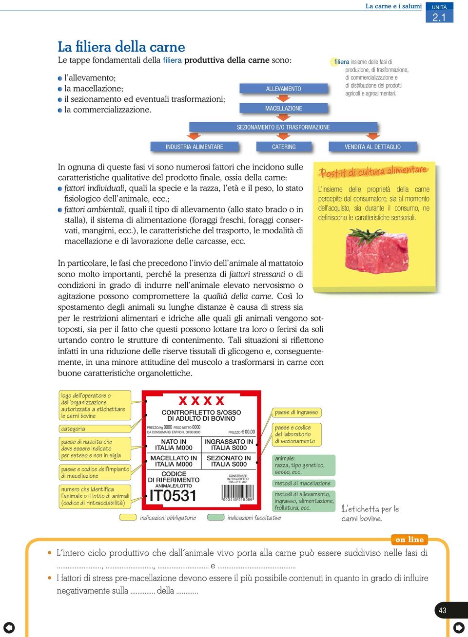 INDUSTRIA ALIMENTARE ALLEVAMENTO MACELLAZIONE SEZIONAMENTO E/O TRASFORMAZIONE CATERING filiera insieme delle fasi di produzione, di trasformazione, di commercializzazione e di distribuzione dei