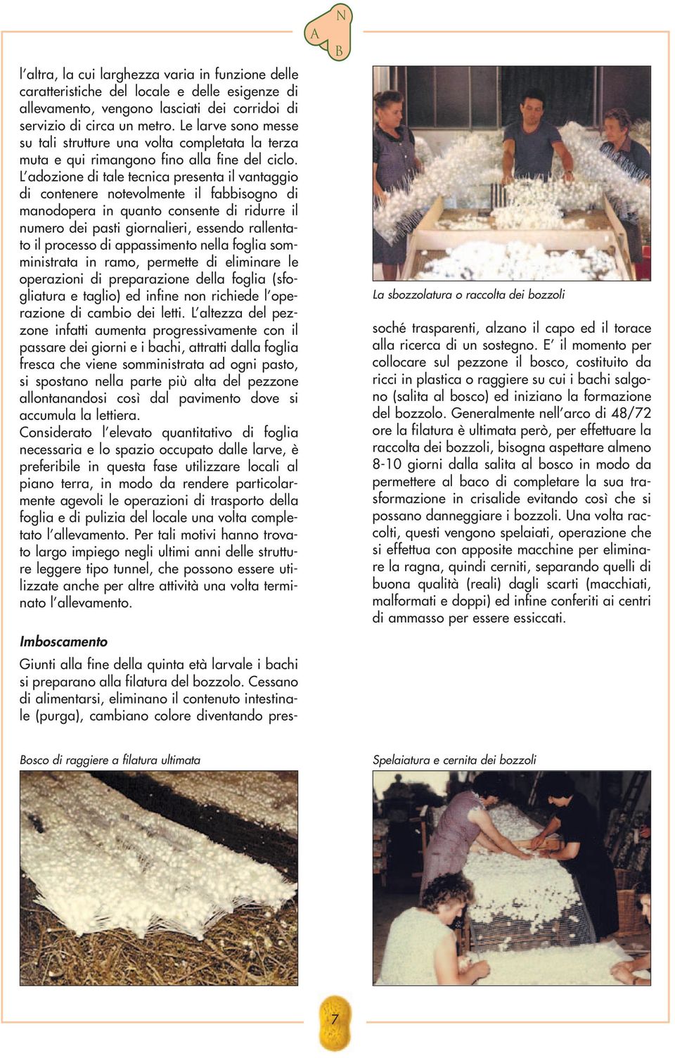 L adozione di tale tecnica presenta il vantaggio di contenere notevolmente il fabbisogno di manodopera in quanto consente di ridurre il numero dei pasti giornalieri, essendo rallentato il processo di