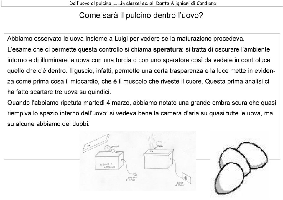 controluce quello che c è dentro. Il guscio, infatti, permette una certa trasparenza e la luce mette in evidenza come prima cosa il miocardio, che è il muscolo che riveste il cuore.