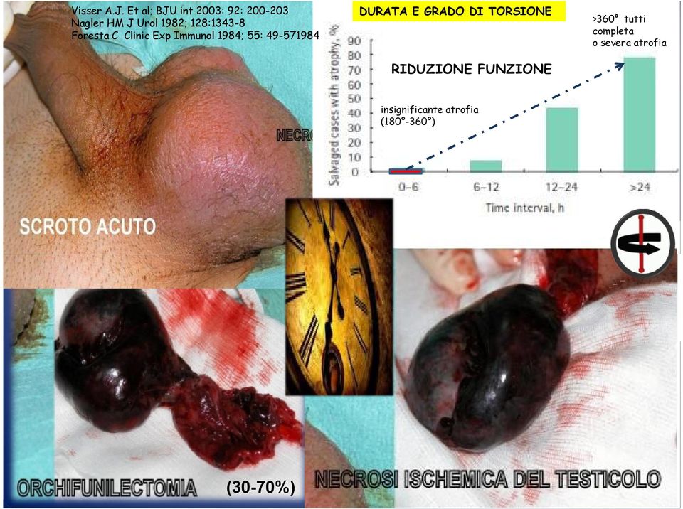 128:1343-8 Foresta C Clinic Exp Immunol 1984; 55: 49-571984