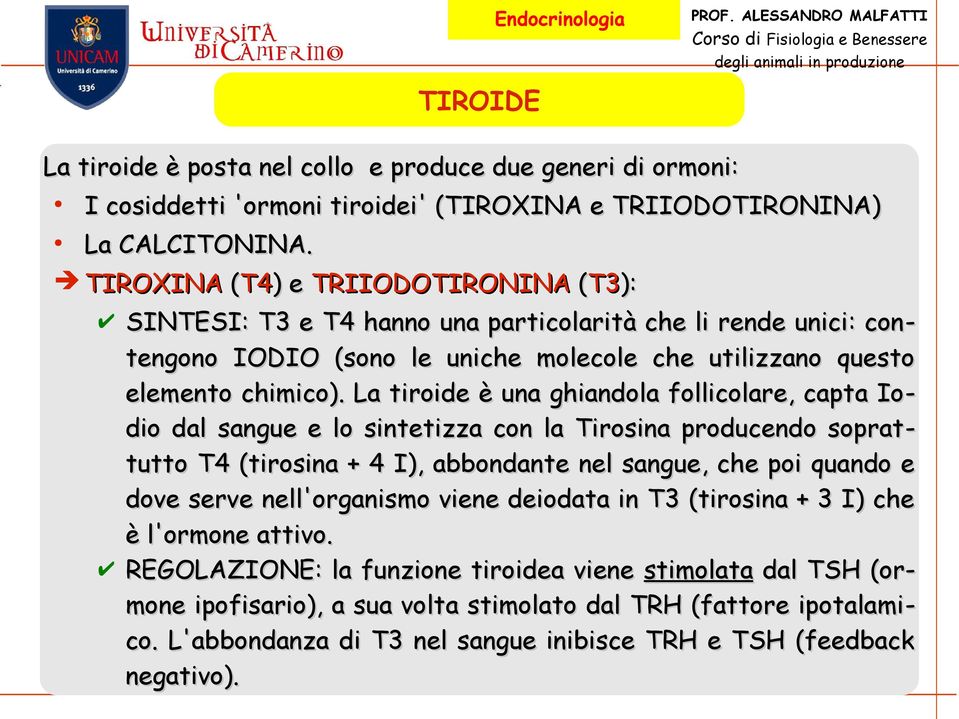 La tiroide è una ghiandola follicolare, capta Io- dio dal sangue e lo sintetizza con la Tirosina producendo soprat- tutto T4 (tirosina + 4 I), abbondante nel sangue, che poi quando e dove serve