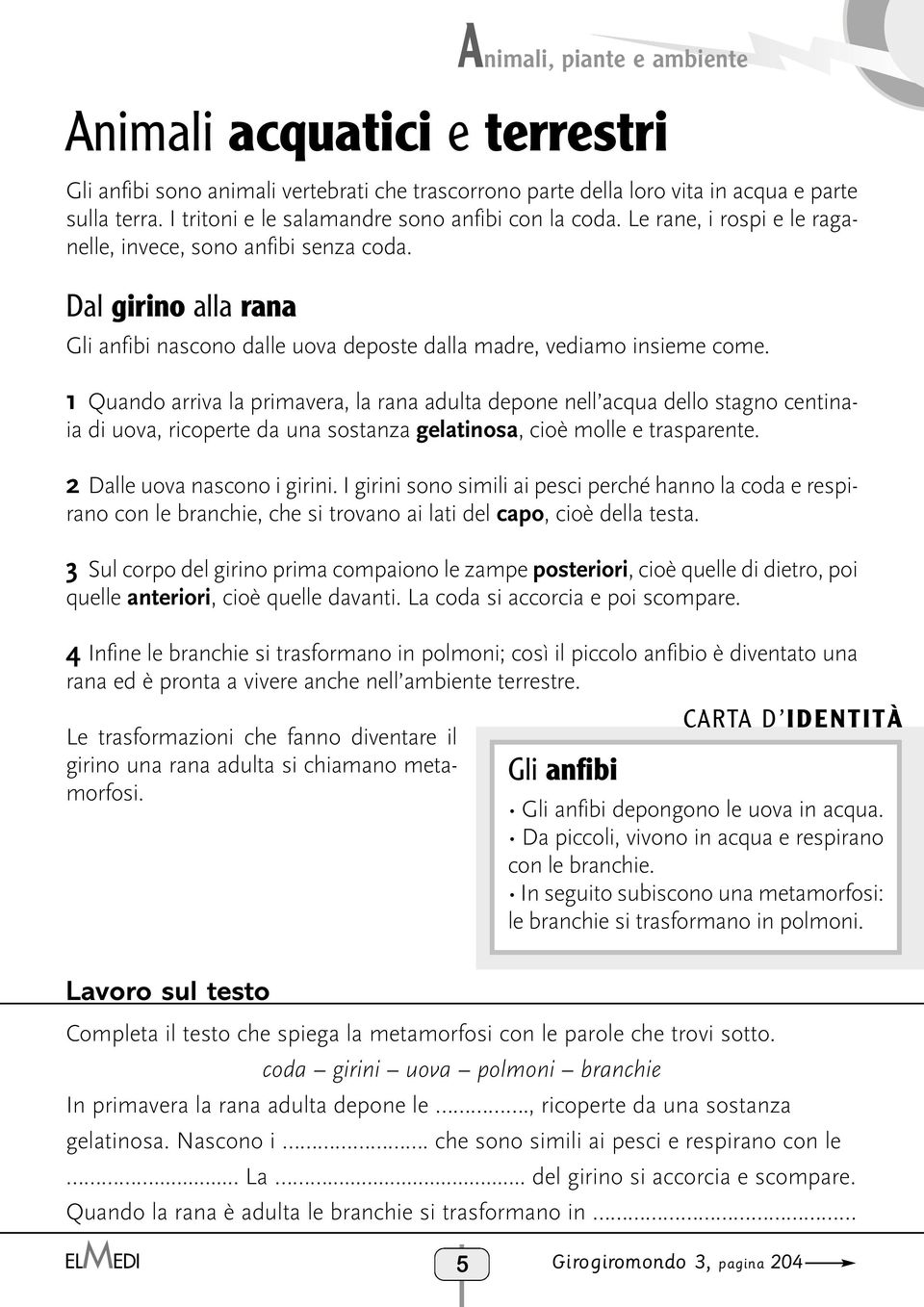 1 Quando arriva la primavera, la rana adulta depone nell acqua dello stagno centinaia di uova, ricoperte da una sostanza gelatinosa, cioè molle e trasparente. 2 Dalle uova nascono i girini.