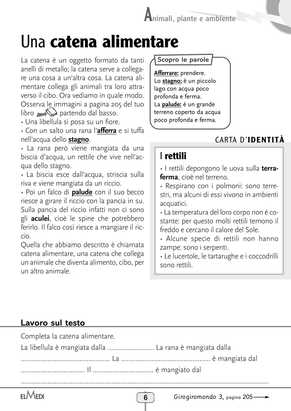 Con un salto una rana l afferra e si tuffa nell acqua dello stagno. La rana però viene mangiata da una biscia d acqua, un rettile che vive nell acqua dello stagno.