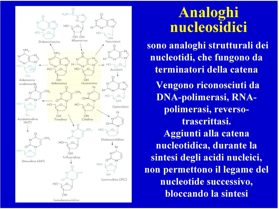 reversotrascrittasi.