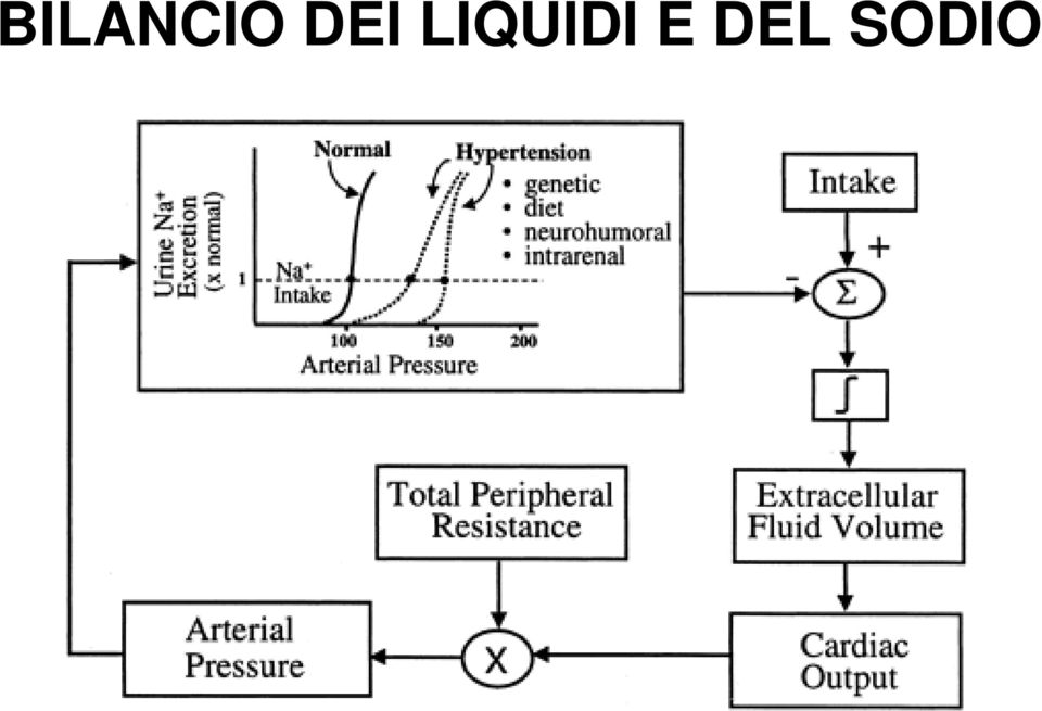 LIQUIDI E