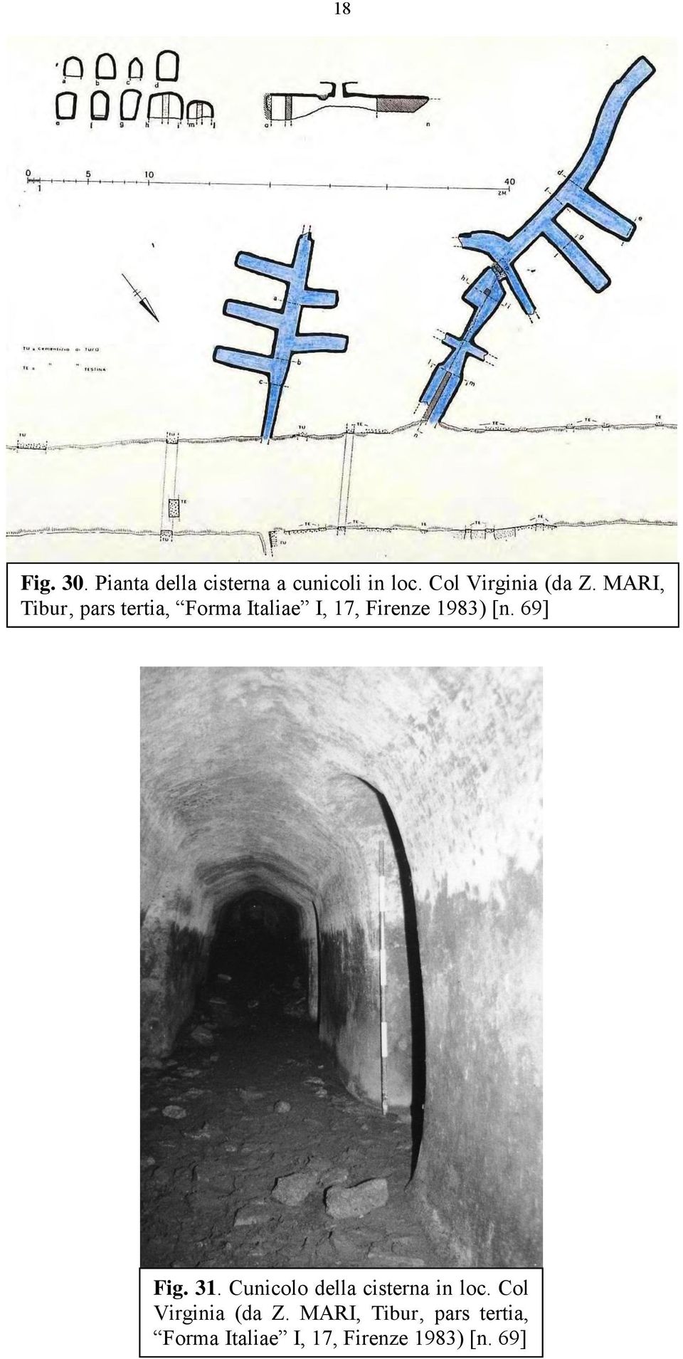 MARI, Tibur, pars tertia, Forma Italiae I, 17, Firenze 1983) [n.