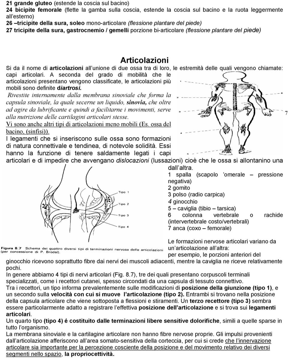 unione di due ossa tra di loro, le estremità delle quali vengono chiamate: capi articolari.