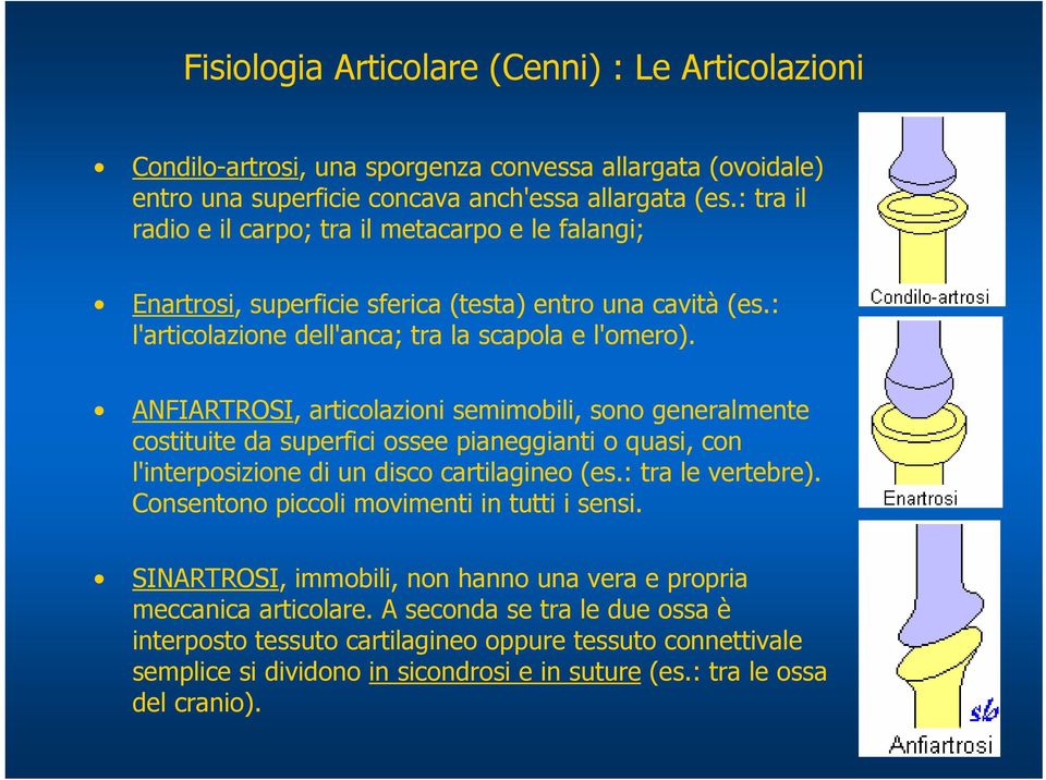 ANFIARTROSI, articolazioni semimobili, sono generalmente costituite da superfici ossee pianeggianti o quasi, con l'interposizione di un disco cartilagineo (es.: tra le vertebre).